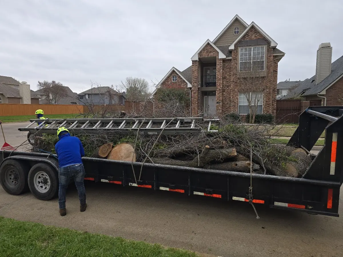 Expert Lot Clearing with proper safety equipment in Bunnell